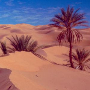Libia