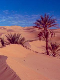 Libia