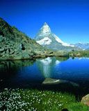 New Zeland