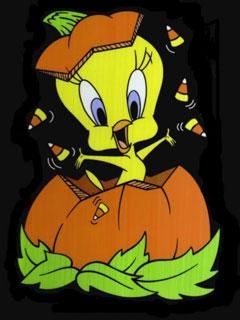 Tweety