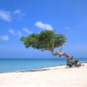 Aruba