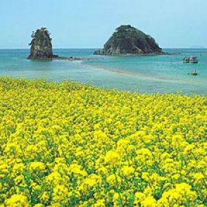 Korea 