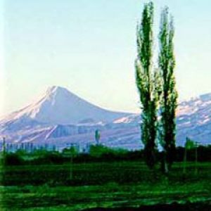 Ararat