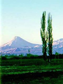 Ararat