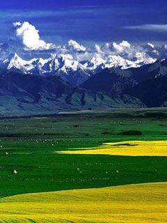Himalayas