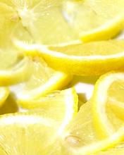 Citrus