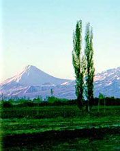 Ararat