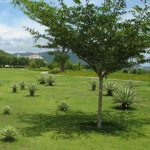 Hainan