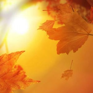 November