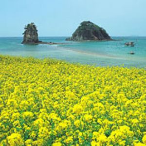 Korea