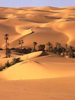 Libia