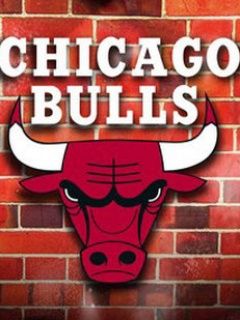 Chicago Bulls