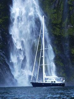 Waianiwanz - New Zeland