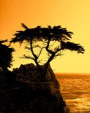 Cyprus