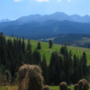 Tatry