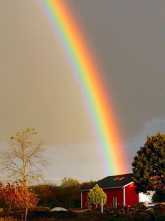 Rainbow