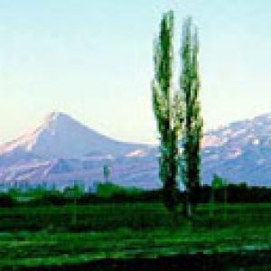 Ararat