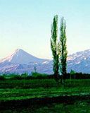 Ararat