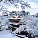 Shenyang
