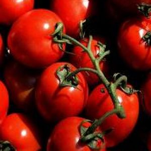 Tomato