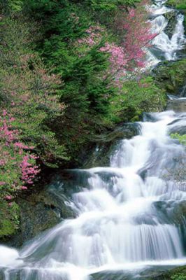 Tochigi Prefecture - Nikko - Japan