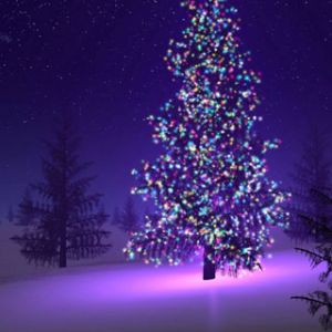 Beautiful Christmas Tree