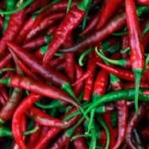 Chilli 