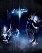 AVP