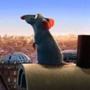 Ratatouille