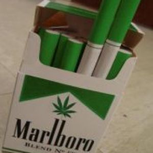 Marlboro Ganja