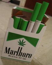 Marlboro Ganja