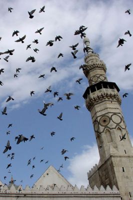 Syria