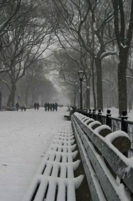 Central Park - New York