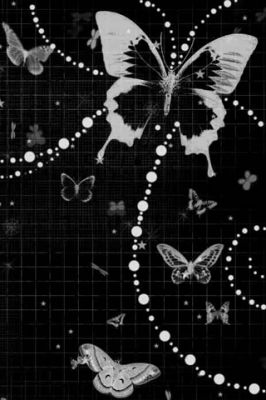 Black Butterfly