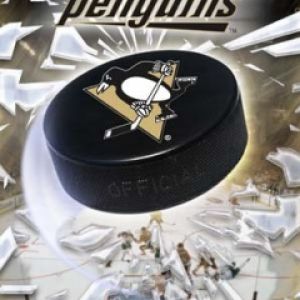 Pittsburgh Pengiuns