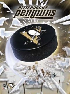 Pittsburgh Pengiuns