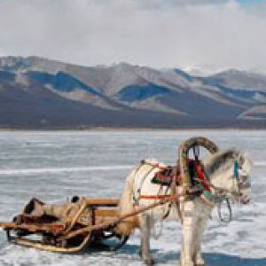 Mongolia 