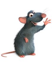 Ratatouille