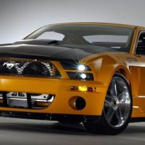 Mustang