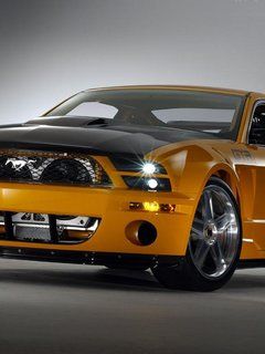 Mustang