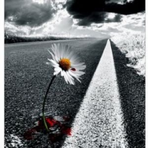 Via