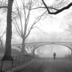 Gothic Bridge - Central Park - New York