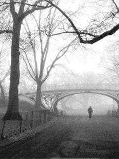 Gothic Bridge - Central Park - New York