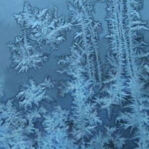 Winter Freeze