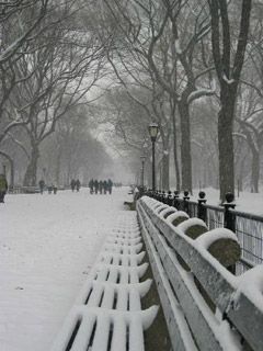 Central Park - New York