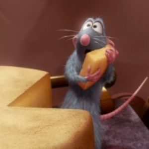 Ratatouille 