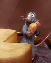 Ratatouille 