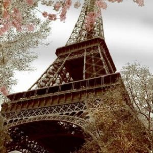 The Eiffel Tower - Paris