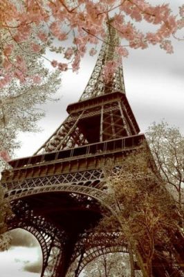 The Eiffel Tower - Paris