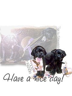 Have a Nice Day